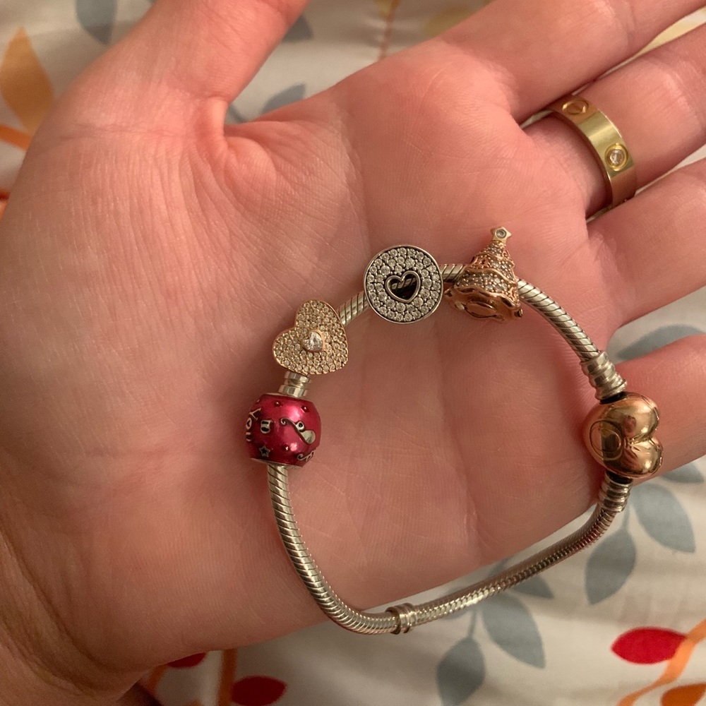 Pandora Charms